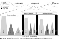 Periodization and Block Periodization in Sports: Emphasis on Strength-Power Training-A Provocative and Challenging Narrative.... 