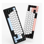 펀키스, AULA 미니배열 독거미 F65 시리즈 신규 출시:: 보드나라 펀키스, AULA 미니배열 독거미 F65 시리즈 신규 출시 :: 보드나라