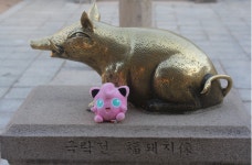 [덕담]황금돼지처럼 날아오르는 2019년이 되길 기원합니다.:: 보드나라- 사는이야기 [덕담]황금돼지처럼 날아오르는 2019년이 되길... 