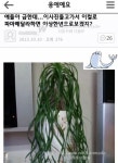 이 사진들고 미용실가서 파마해달라고하면 이상한년 취급받겠지? - 인스티즈(instiz) 이슈 카테고리