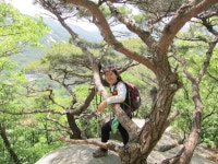 공릉동 공릉동대아(492-1) 시세, 가격, 매매, 전세 | KB시세는 KB부동산 KB부동산