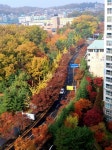 KB부동산 - 아파트 시세, 실거래가, 분양, 빌라시세, AI예측시세, 자산관리