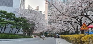 영통동 신원,미주 시세, 가격, 매매, 전세 | KB시세는 KB부동산 KB부동산
