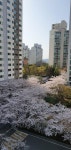 영통동 신원,미주 시세, 가격, 매매, 전세 | KB시세는 KB부동산 KB부동산