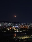 정자동 연꽃마을벽산 시세, 가격, 매매, 전세 | KB시세는 KB부동산 KB부동산