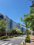 진관동 은평뉴타운마고정2단지 시세, 가격, 매매, 전세 | KB시세는 KB부동산