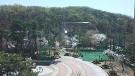 동백동 백현마을한라비발디(1단지) 시세, 가격, 매매, 전세 | KB시세는 KB부동산 KB부동산