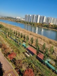 새솔동 대방노블랜드리버스위트2차 시세, 가격, 매매, 전세 | KB시세는 KB부동산 KB부동산