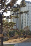 KB부동산 - 아파트 시세, 실거래가, 분양, 빌라시세, AI예측시세, 자산관리
