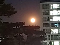 교촌동 제이파크 시세, 가격, 매매, 전세 | KB시세는 KB부동산 KB부동산