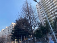 KB부동산 - 아파트 시세, 실거래가, 분양, 빌라시세, 예측시세 KB부동산