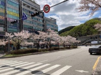 구갈동 강남마을코오롱하늘채(5단지) 시세, 가격, 매매, 전세 | KB시세는 KB부동산 KB부동산
