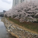 무거동 울산옥현1주공 시세, 가격, 매매, 전세 | KB시세는 KB부동산 KB부동산