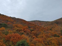 상동동 벽산e-솔렌스힐2차 시세, 가격, 매매, 전세 | KB시세는 KB부동산 KB부동산