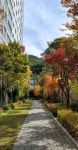 용산동 충주3차푸르지오 시세, 가격, 매매, 전세 | KB시세는 KB부동산 KB부동산
