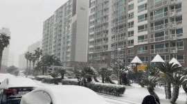 연동 대림e-편한세상(2차) 시세, 가격, 매매, 전세 | KB시세는 KB부동산 KB부동산