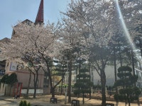 안녕동 병점역성호플레르빌 시세, 가격, 매매, 전세 | KB시세는 KB부동산 KB부동산
