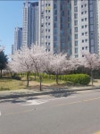 부개동 부개역푸르지오 시세, 가격, 매매, 전세 | KB시세는 KB부동산 KB부동산