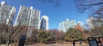 영통동 살구골(진덕,서광,성지,동아) 시세, 가격, 매매, 전세 | KB시세는 KB부동산 KB부동산