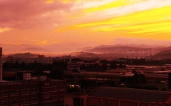 KB부동산 - 아파트 시세, 실거래가, 분양, 빌라시세, AI예측시세, 자산관리