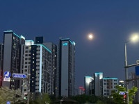 영천동 동탄역센트럴자이 시세, 가격, 매매, 전세 | KB시세는 KB부동산 KB부동산