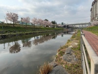 야당동 한빛마을5단지캐슬앤칸타빌 시세, 가격, 매매, 전세 | KB시세는 KB부동산 KB부동산