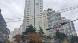KB부동산 - 아파트 시세, 실거래가, 분양, 빌라시세, 예측시세 KB부동산