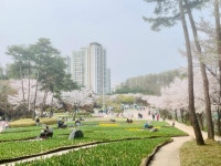 가능동 의정부더샵파크에비뉴 시세, 가격, 매매, 전세 | KB시세는 KB부동산 KB부동산