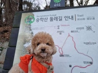관교동 풍림 시세, 가격, 매매, 전세 | KB시세는 KB부동산 KB부동산