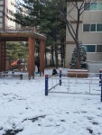 KB부동산 - 아파트 시세, 실거래가, 분양, 빌라시세, 예측시세