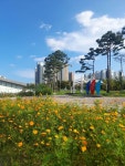 장기동 청송마을중흥에스클래스 시세, 가격, 매매, 전세 | KB시세는 KB부동산 KB부동산