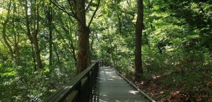 KB부동산 - 아파트 시세, 실거래가, 분양, 빌라시세, 예측시세 KB부동산