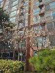 동백동 호수마을동보노빌리티 시세, 가격, 매매, 전세 | KB시세는 KB부동산