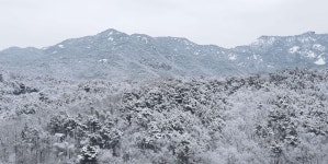 호원동 호원5차우성 시세, 가격, 매매, 전세 | KB시세는 KB부동산 KB부동산