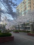 KB부동산 - 아파트 시세, 실거래가, 분양, 빌라시세, 예측시세 KB부동산
