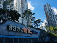 광안동 부산광안동쌍용예가디오션 시세, 가격, 매매, 전세 | KB시세는 KB부동산 KB부동산