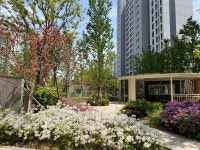 목동동 물향기마을3단지해링턴플레이스GTX운정 시세, 가격, 매매, 전세 | KB시세는 KB부동산 KB부동산