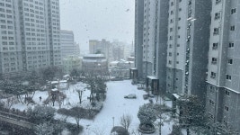 운암동 벽산블루밍메가씨티3단지 시세, 가격, 매매, 전세 | KB시세는 KB부동산 KB부동산