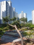동면 춘천두산위브 시세, 가격, 매매, 전세 | KB시세는 KB부동산 KB부동산