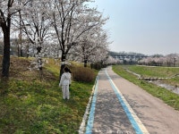 오금동 삼송자이더빌리지(6-4BL,도시형) 시세, 가격, 매매, 전세 | KB시세는 KB부동산 KB부동산