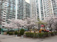 이문동 쌍용 시세, 가격, 매매, 전세 | KB시세는 KB부동산 KB부동산