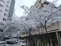 화곡동 탑건진선미 시세, 가격, 매매, 전세 | KB시세는 KB부동산 KB부동산