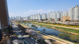 '쌍촌동 부건빛고을' 시세, 가격, 매매, 전세 | KB시세는 KB부동산 KB부동산