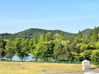 KB부동산 - 아파트 시세, 실거래가, 분양, 빌라시세, 예측시세 KB부동산