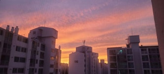 정왕동 부성파스텔 시세, 가격, 매매, 전세 | KB시세는 KB부동산 KB부동산