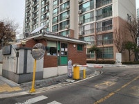 극동상록수 사진 1