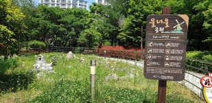 KB부동산 - 아파트 시세, 실거래가, 분양, 빌라시세, 예측시세 KB부동산