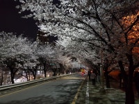 KB부동산 - 아파트 시세, 실거래가, 분양, 빌라시세, AI예측시세, 자산관리