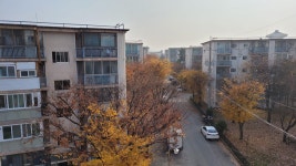 연수동 연수(주공1단지) 시세, 가격, 매매, 전세 | KB시세는 KB부동산 KB부동산