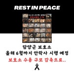 담양군 보호소 수용 규모 감축으로.. | 키노라이츠 커뮤니티